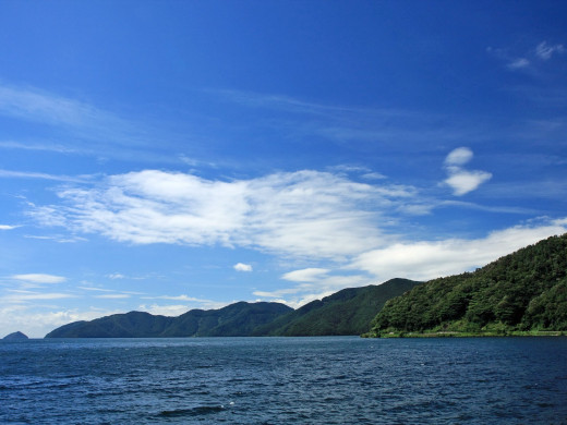 49286 (a): :1600x1200